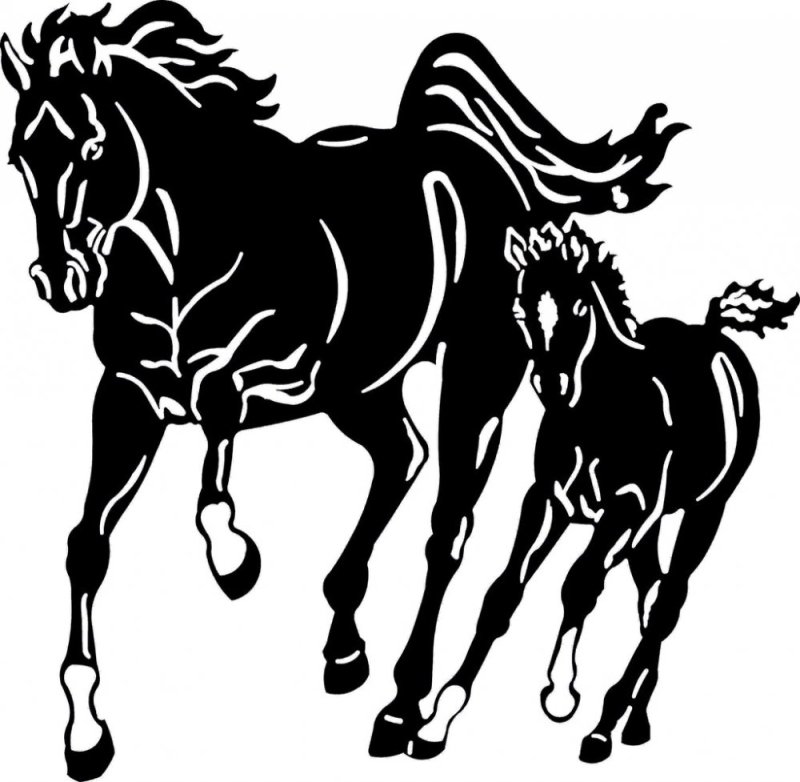 Силуэт лошади