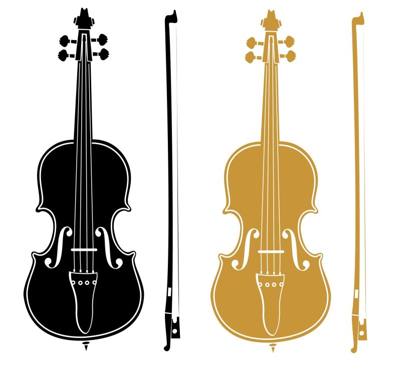 Очертания скрипки