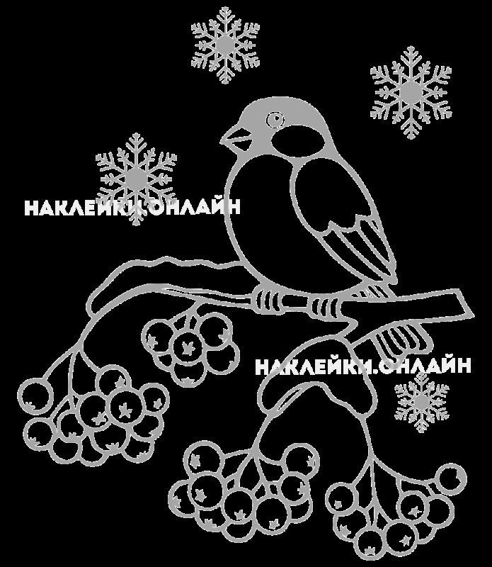 Снегирь на ветке раскраска