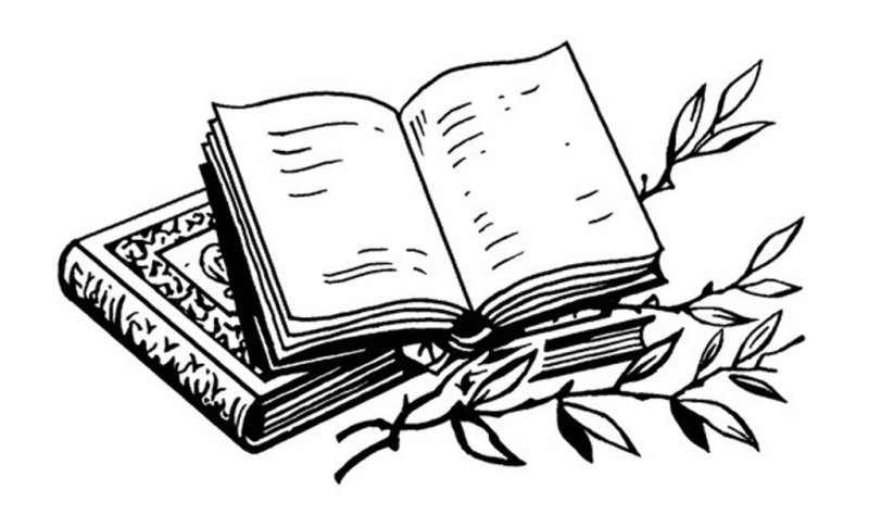 Книга рисунок