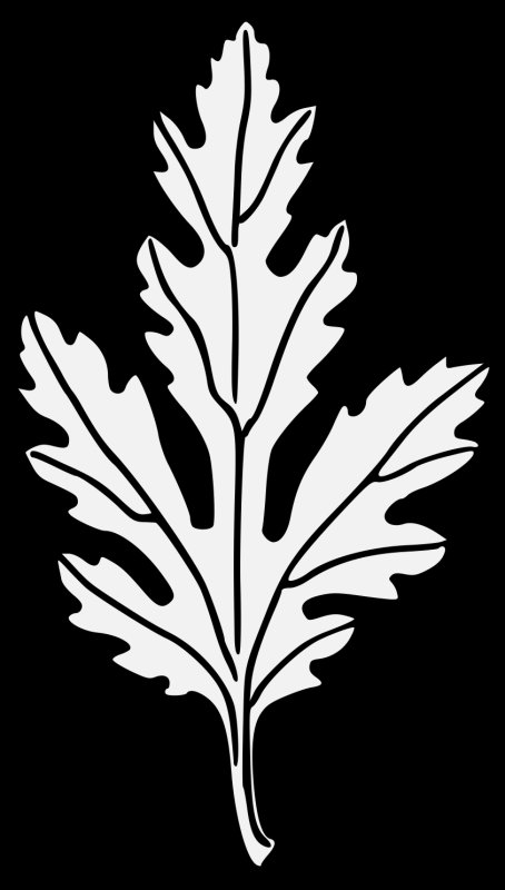 Трафареты "листья"