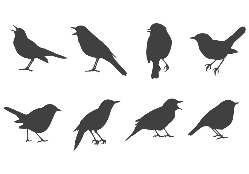 Силуэт птицы