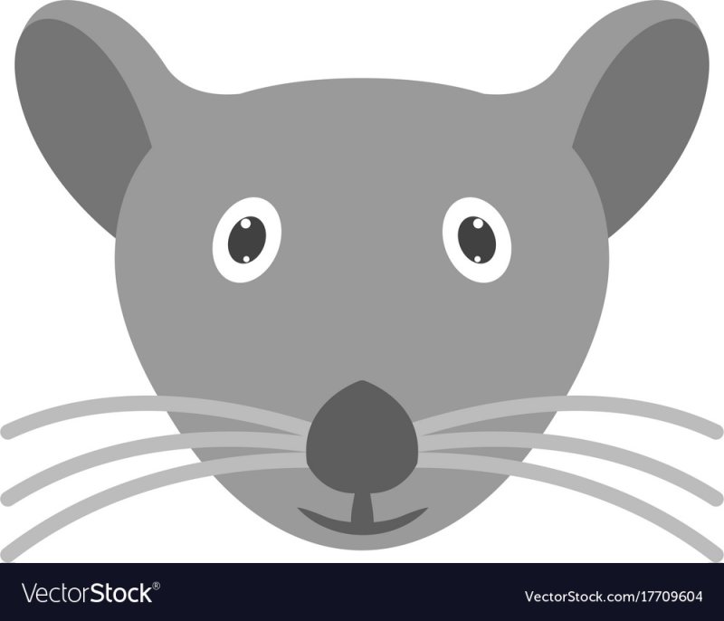 Морда мышки