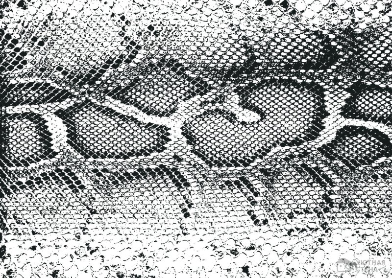 Принт кожа змеи