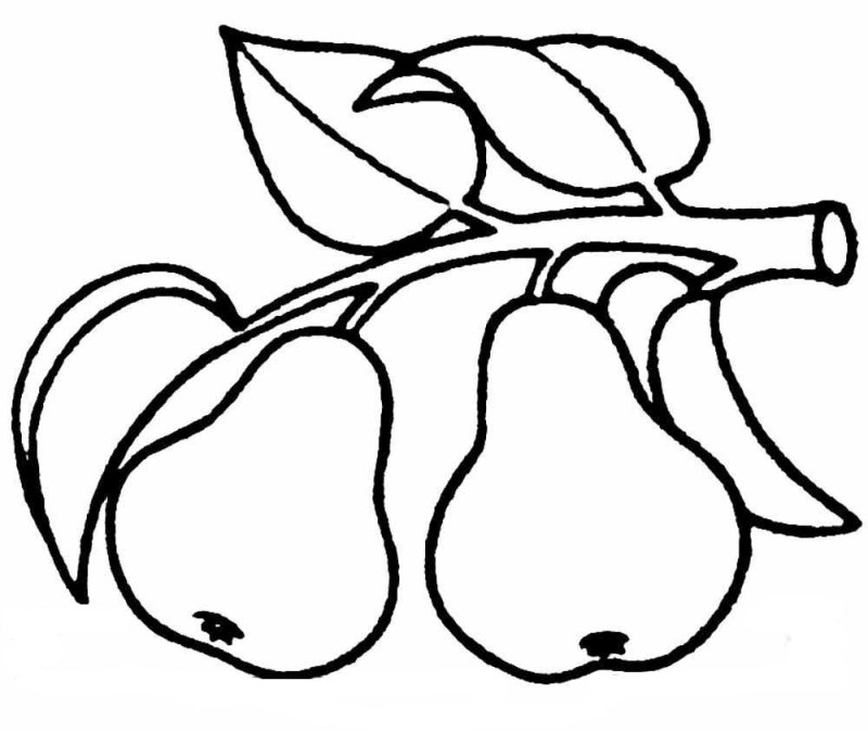 Груша раскраска
