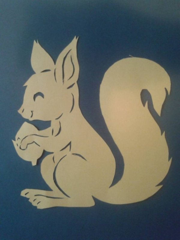 Вытанки Белочка на окно