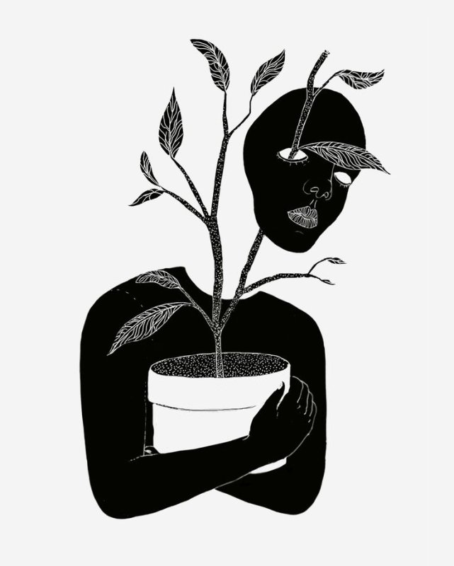 Черно белые рисунки