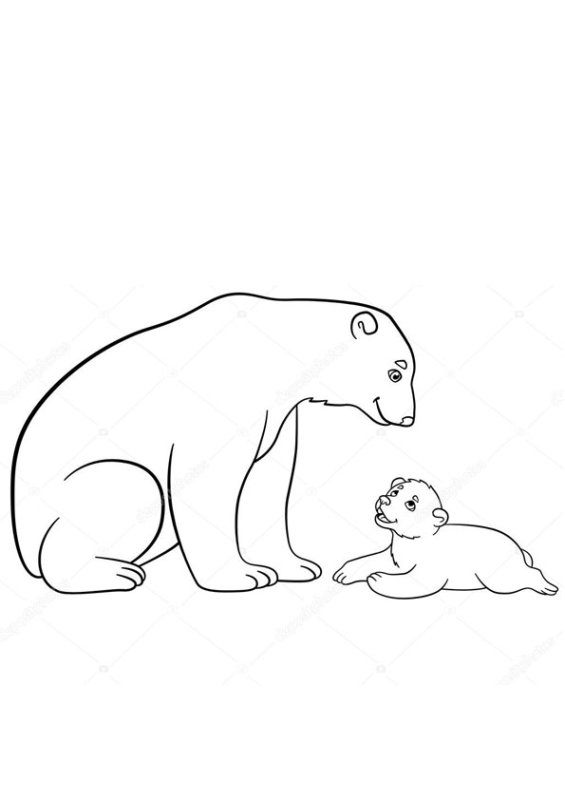 Белый медведь раскраска для детей