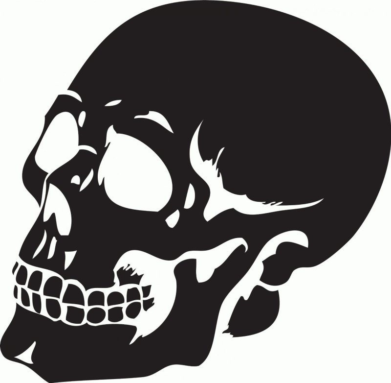 Череп без фона