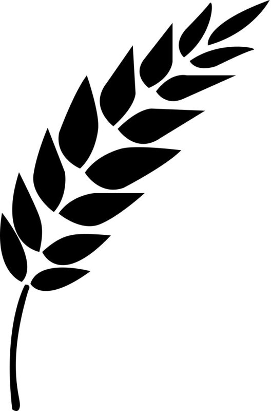 Колосок логотип