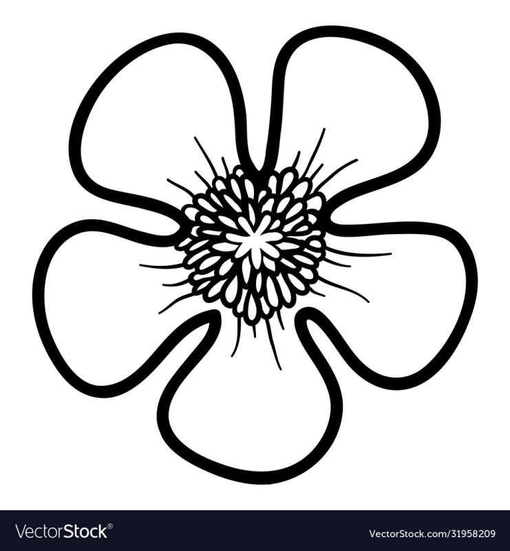 Цветок контур
