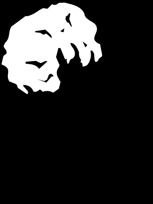 Хлопок растение