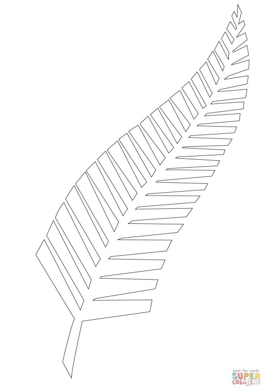 Тропические листья раскраска