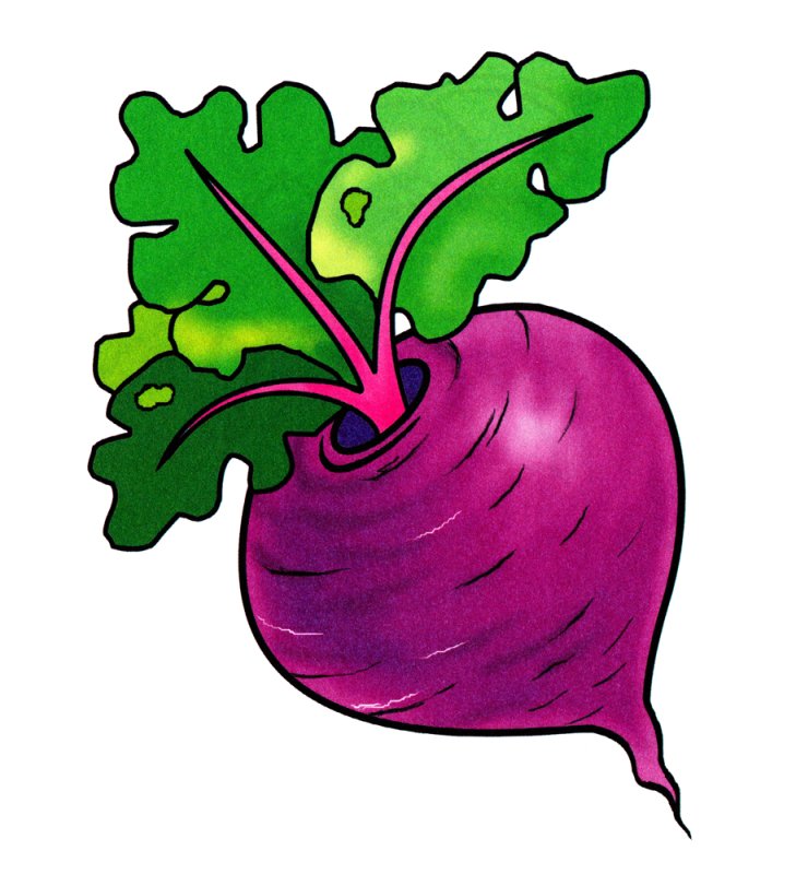 Свекла рисунок для детей