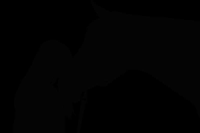 Силуэт лошади на прозрачном фоне