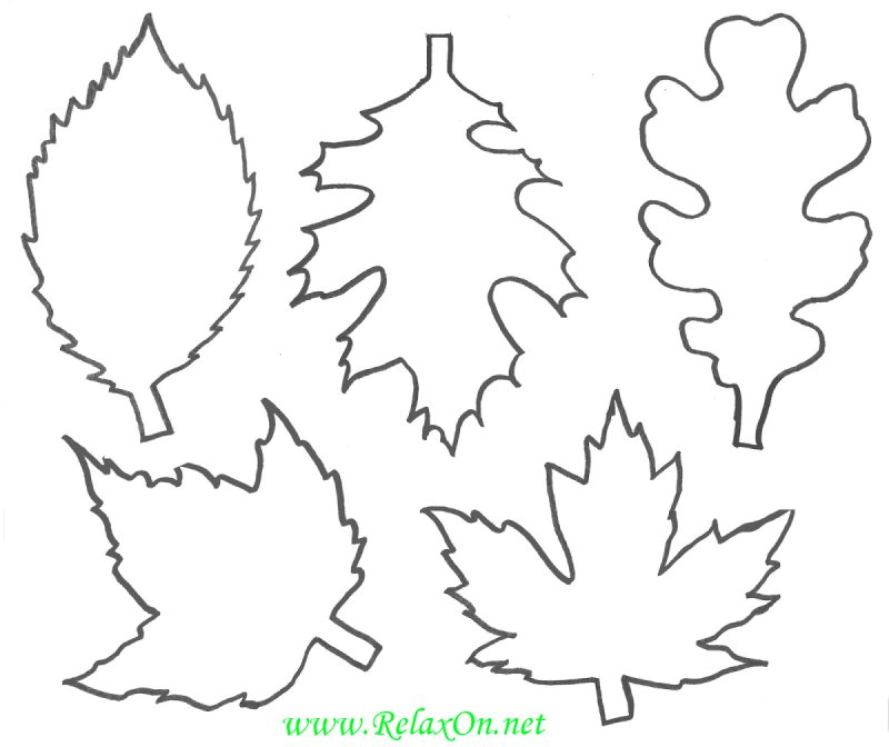 Трафарет осенних листьев