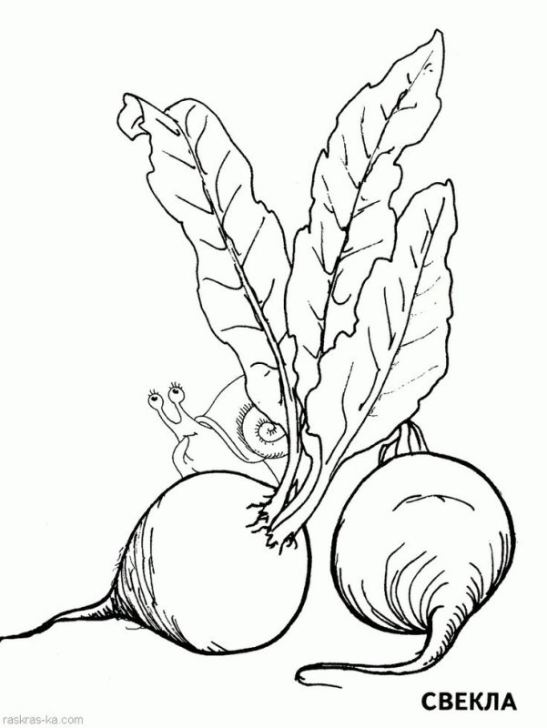 Раскраска. Овощи.