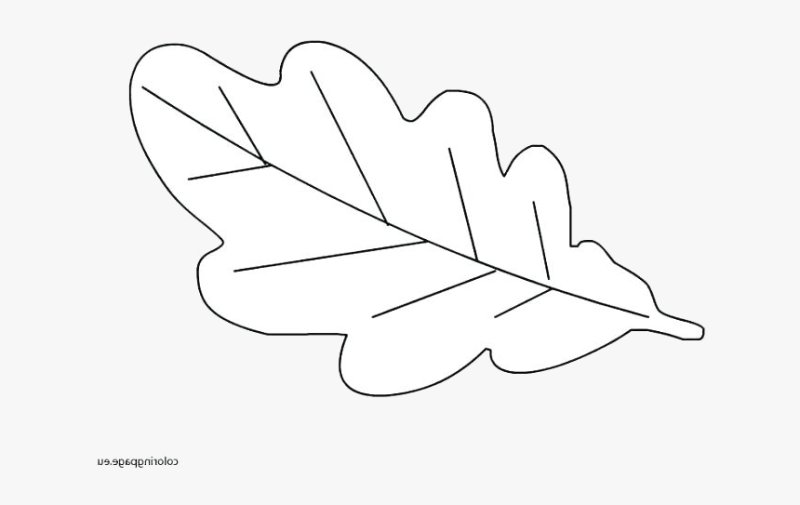 Лист дуба трафарет для вырезания