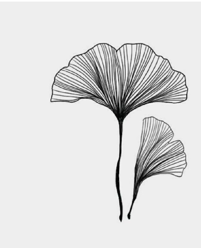 Гинкго тату эскизы