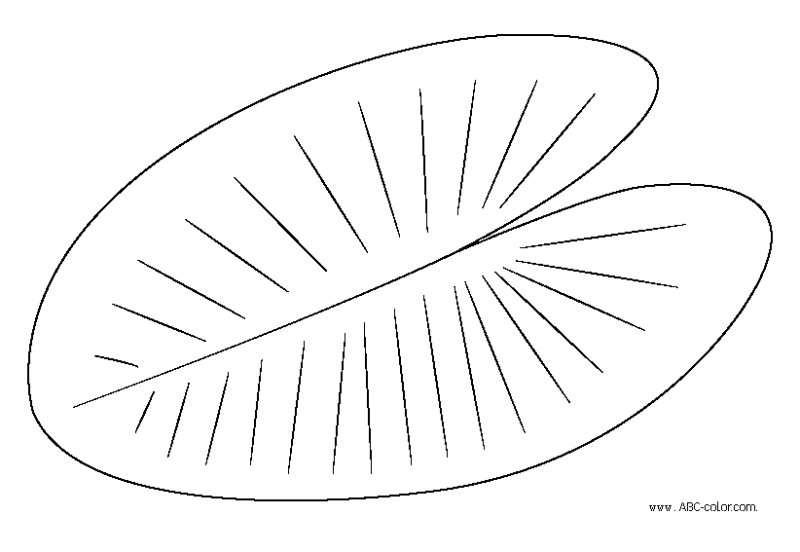 Лист кувшинки для вырезания