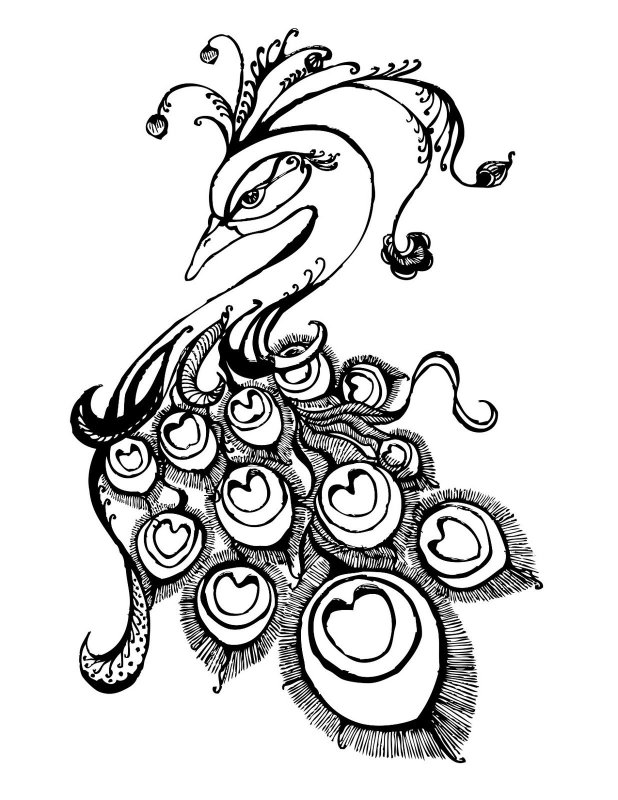 Павлин. Раскраска