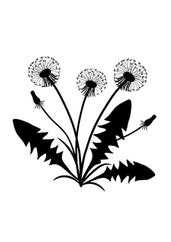 Одуванчик трафарет для вырезания