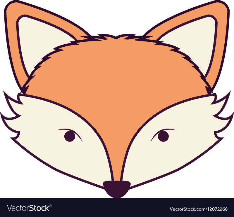 Мордочка лисы рисунок