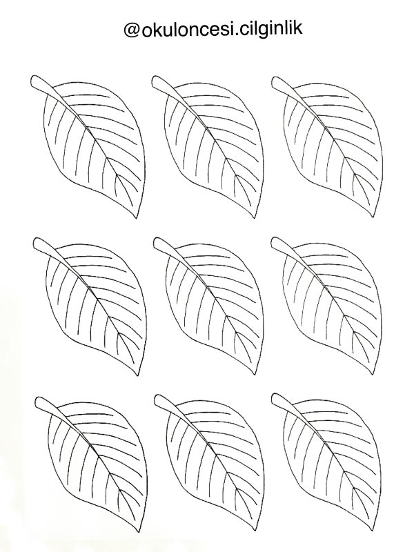 Листочки раскраска