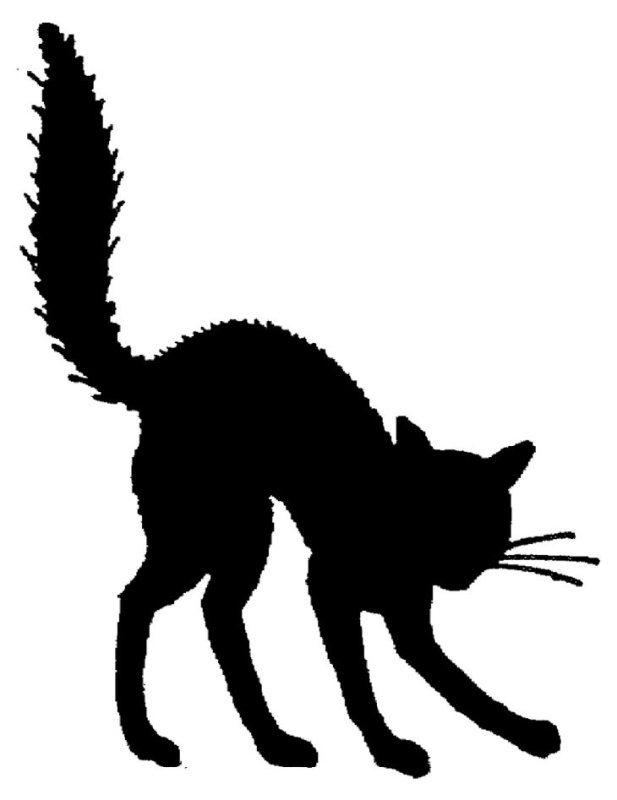 Силуэт кошки с выгнутой спиной