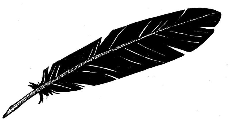 Перо ворона