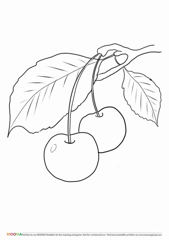 Раскраска черешня