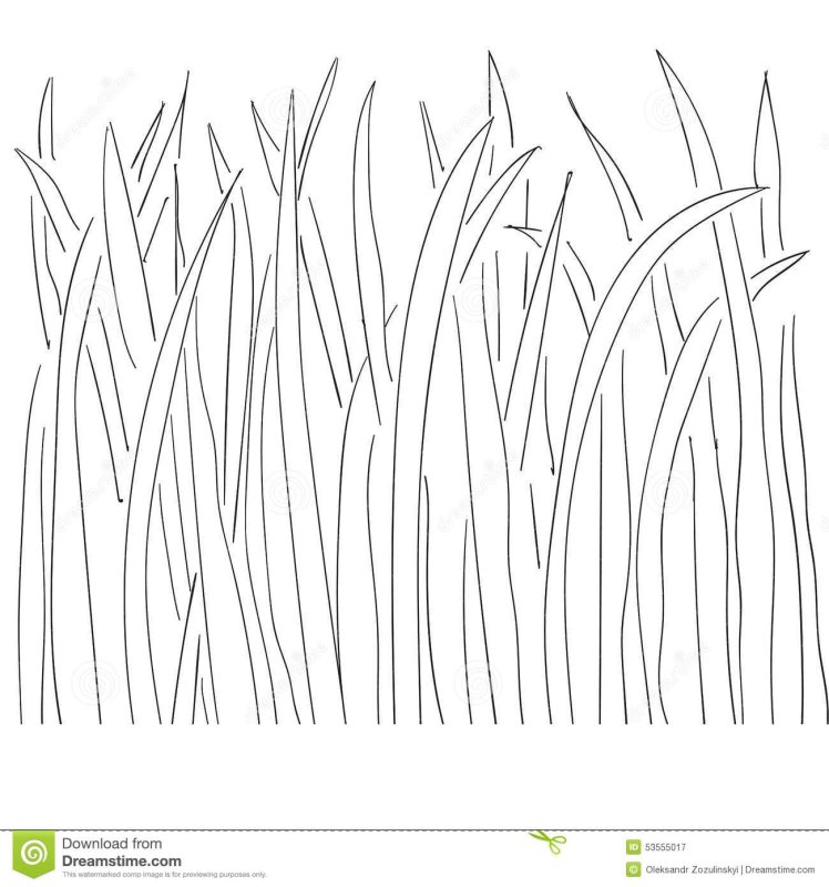 Трава раскраска