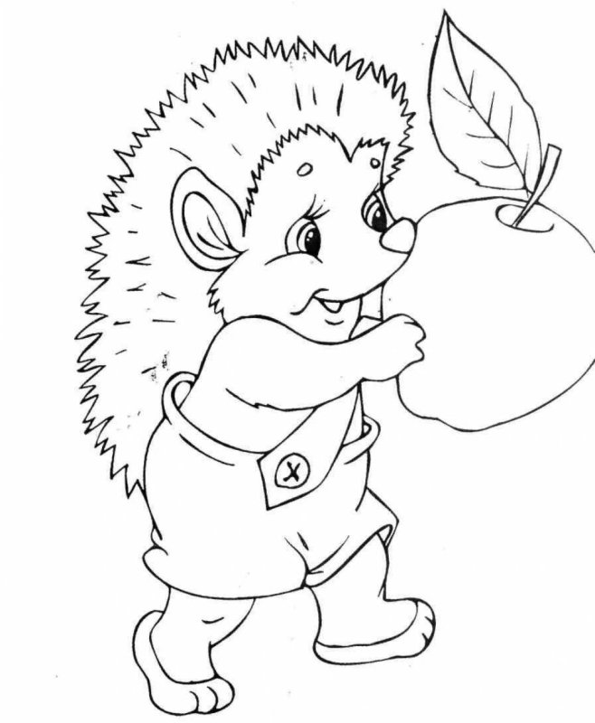 Ёжик раскраска для детей