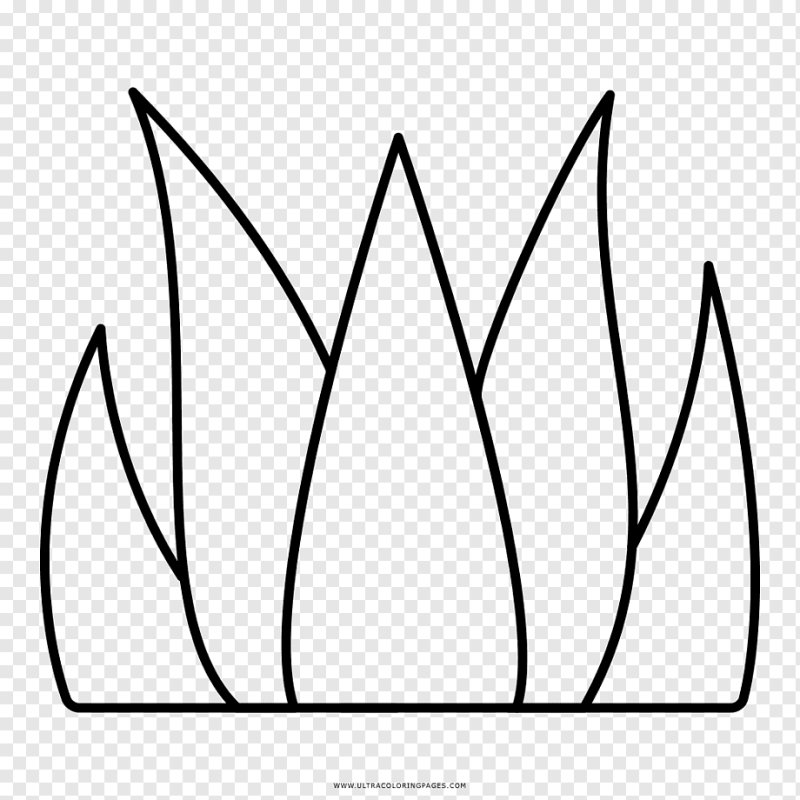 Травка раскраска