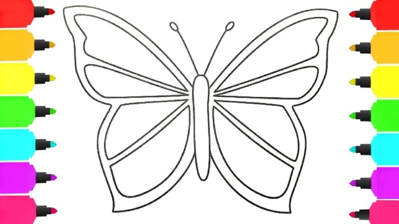 Бабочка раскраска для детей