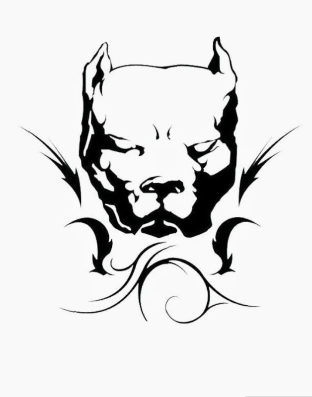 Тату питбуль