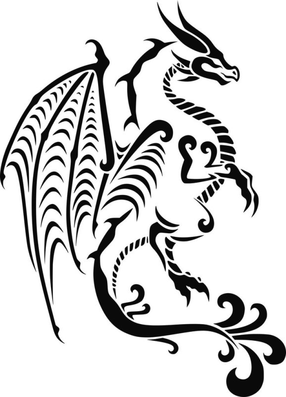 Тату дракон трайбл эскизы