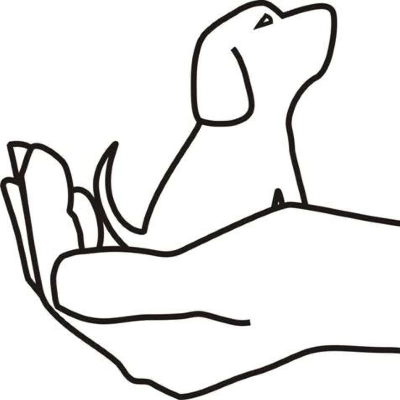 Защита животных раскраска