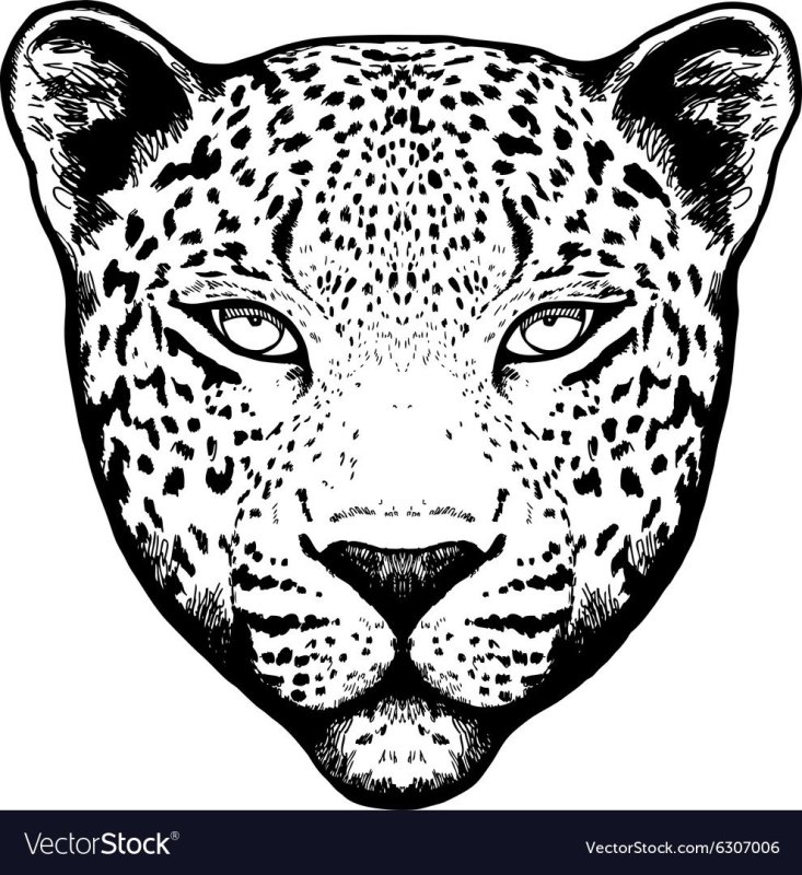 Голова леопарда