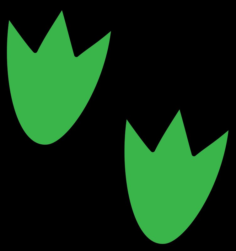 Отпечаток лапки лягушки