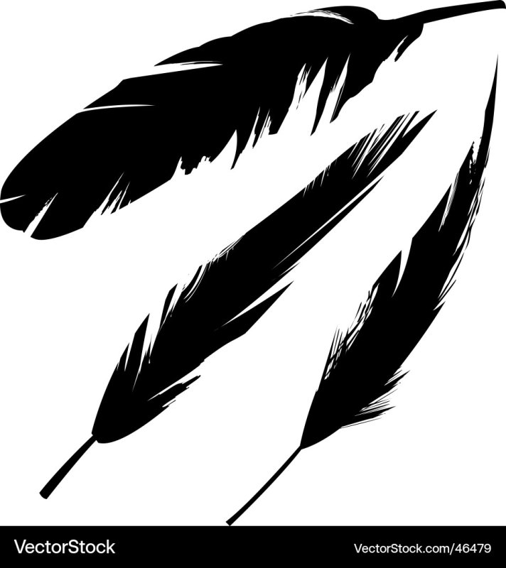 Перо ворона