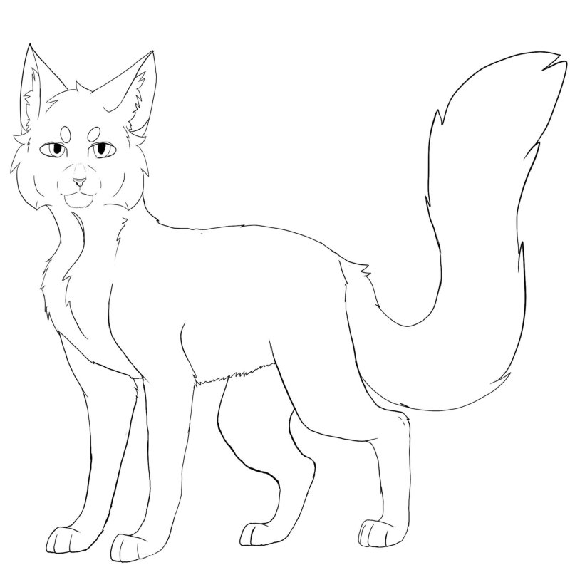 Раскраски коты Воители синяя звезда