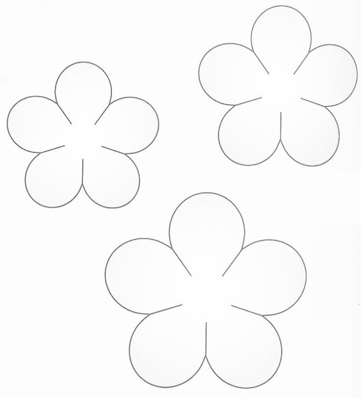 Шаблоны цветов для печати