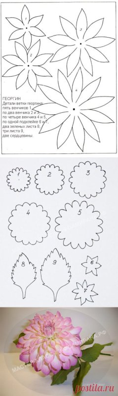 Шаблон георгина из фоамирана