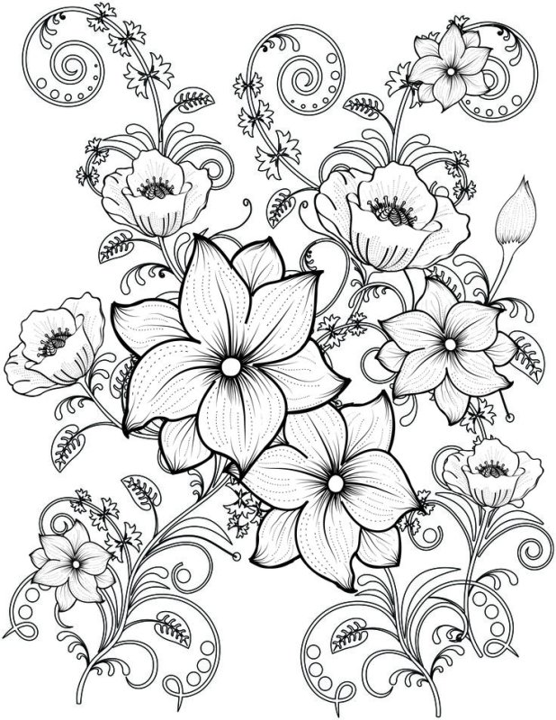 Раскраска антистресс "цветы"