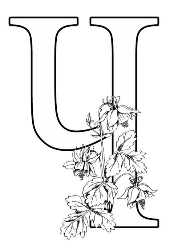 Буквы для раскрашивания