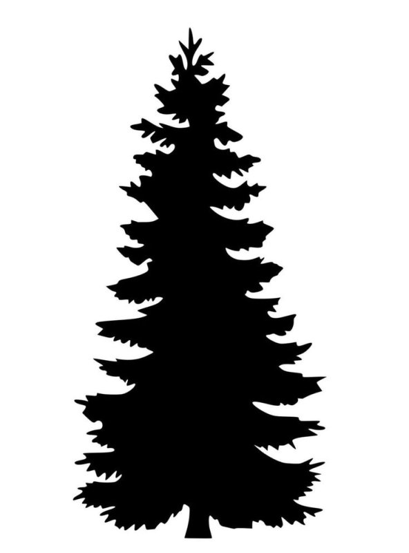 Силуэты елей