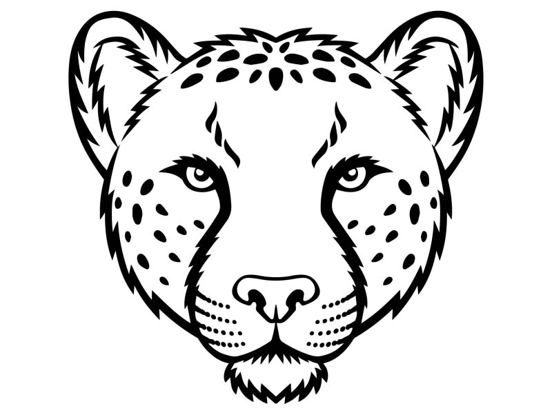 Маска гепарда