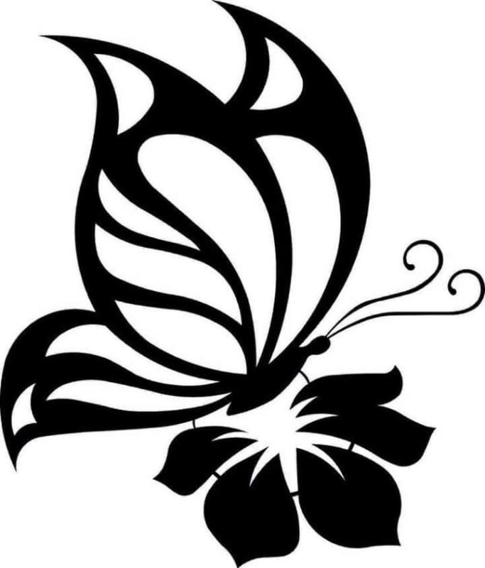 Контуры бабочек для декора