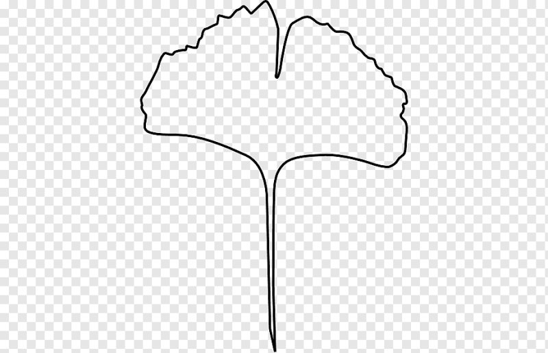 Листья гинкго трафарет